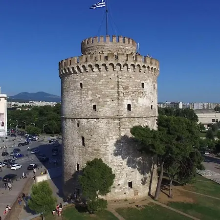 Mainavenue Living Local